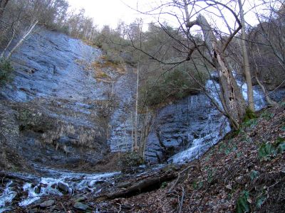 Photo by RAT 2-26-2011
