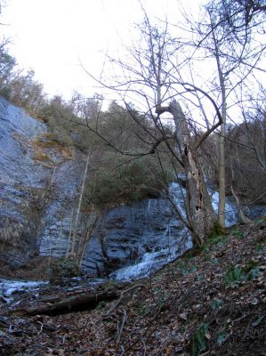 Photo by RAT 2-26-2011
