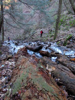 Photo by RAT 2-26-2011
