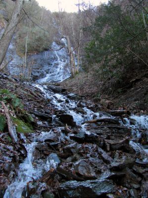 Photo by RAT 2-26-2011
