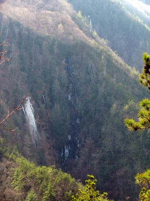 Taken from Chigger Ridge 1-29-2013
