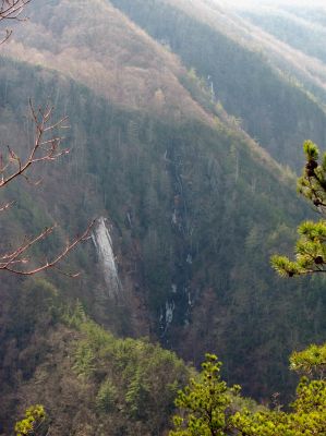 Taken from Chigger Ridge 1-29-2013
