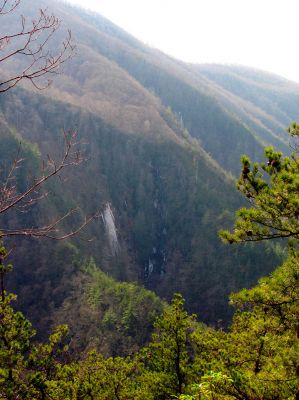 Taken from Chigger Ridge 1-29-2013

