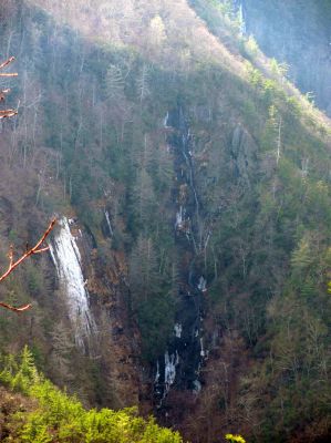 Taken from Chigger Ridge 1-29-2013
