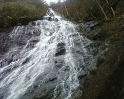 Buckeye Falls
Taken by Melissa Braswell on 3-13-2010

