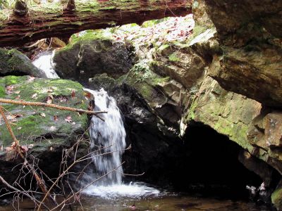 California Creek
Awesome 10 ft waterfalls we discovered above the upper falls. They are set back in a grotto and are very nice.  11-20-2010
