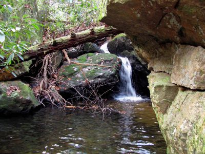 California Creek
Awesome 10 ft waterfalls we discovered above the upper falls. They are set back in a grotto and are very nice.  11-20-2010
