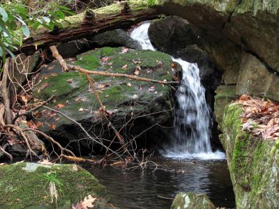 California Creek
Awesome 10 ft waterfalls we discovered above the upper falls. They are set back in a grotto and are very nice.  11-20-2010
