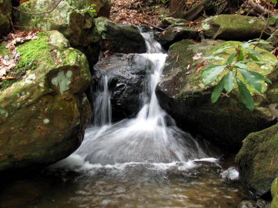 California Creek
Cascades. 11-20-2010
