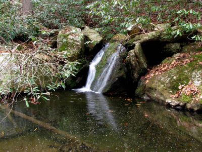 Upper California Creek Falls
Upper California Creek falls.  11-20-2010
