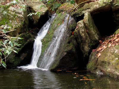 Upper California Creek Falls
11-20-2010
