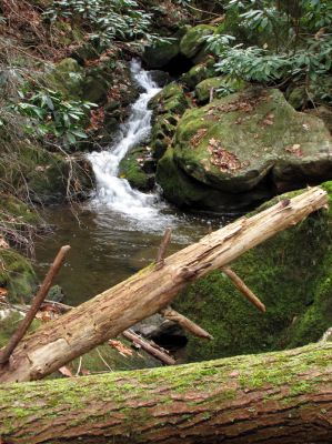 California Creek
Nice set of cascades found just above Cody falls (in between upper and lower California Cr. Falls)  11-20-2010
