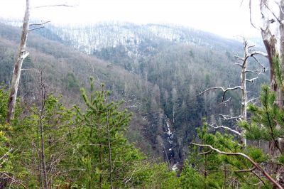 Taken March 30, 2013 from a ridge near the Camp Creek Trail
