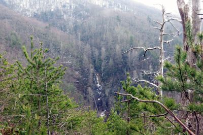 Taken March 30, 2013 from a ridge near the Camp Creek Trail
