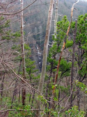 Taken March 30, 2013 from a ridge near the Camp Creek Trail
