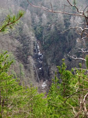Taken March 30, 2013 from a ridge near the Camp Creek Trail

