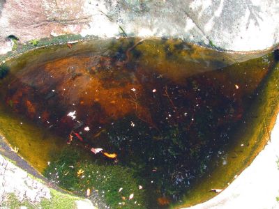 Potholes at top of the falls (complete with a norther watersnake)Taken 6-13-2012
