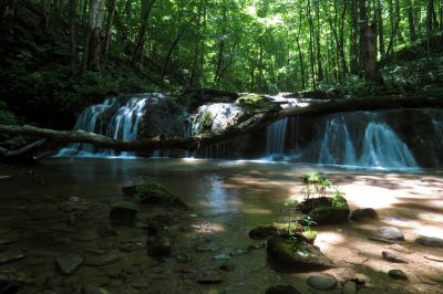 Taken 7-16-2014Small Shelf falls found just above Cobweb Falls Taken 7-16-2014
