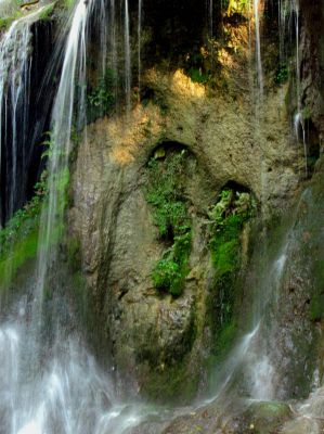 Do you see the mother Mary and baby Jesus ??  Taken 9-20-2014
