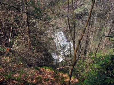 Compression Falls as seen from a ridge high above them (Taken April 3, 2012) 
