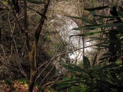 Compression Falls as seen from a ridge high above them (Taken April 3, 2012) 
