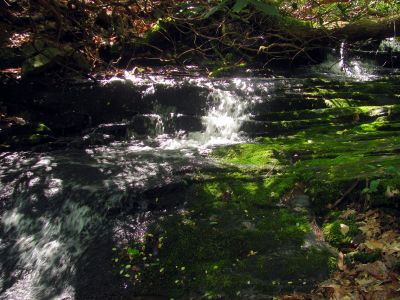 Taken 4-28-2017  falls just above the top 
