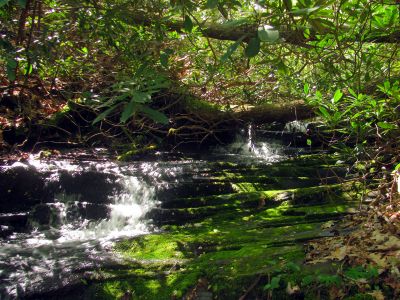 Taken 4-28-2017  falls just above the top 
