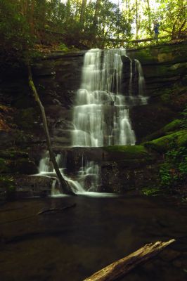 Taken 4-28-2017

