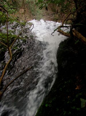 Taken 4-4-2017  Top of the falls 
