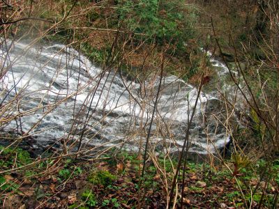 Taken 4-4-2017  side of falls halfway down 
