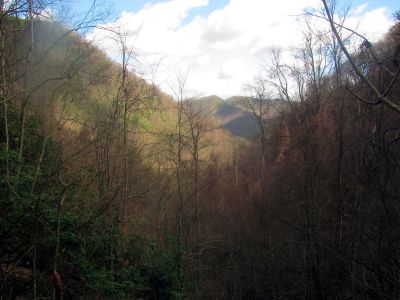 Taken 4-4-2017  View from the top of the falls 

