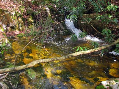 falls just above top of Upper Dick Creek Falls Taken 3-3-2012
