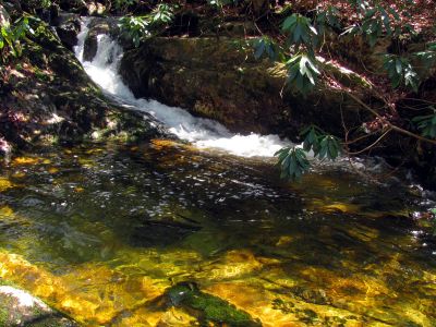 Small falls and golden pool above top of the Upper Dick Creek Falls  Taken 3-10-2012
