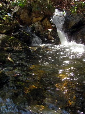 Small falls and cascades located just above the top of the Lower Dick Creek Falls  Taken 3-10-2012
