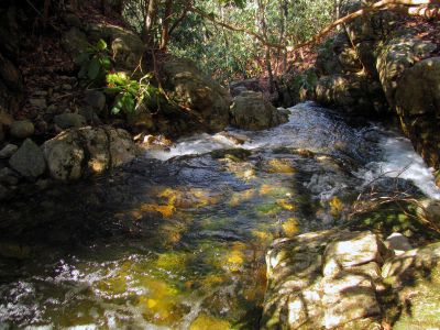 Looking towards the top of the Lower Dick Creek Falls Taken 3-10-2012
