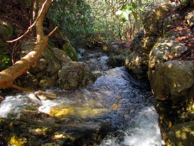 Looking towards the top of the Lower Dick Creek Falls  Taken 3-10-2012
