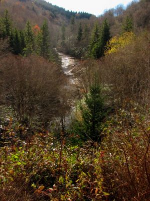 Lowest falls on Flat Laurel Creek - Taken 10-22-2014
