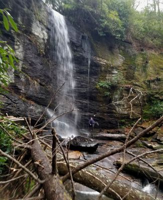 Taken 11-18-2017 (photo by John Forbes)
