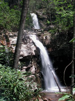 Gentry Falls
taken 4-30-2011
