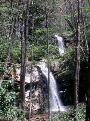 Gentry Falls
taken 4-30-2011
