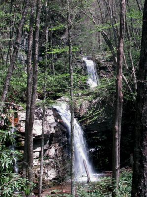 Gentry Falls
taken 4-30-2011

