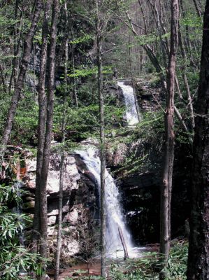 Gentry Falls
taken 4-30-2011
