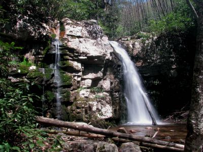 Gentry Falls
Lower part taken 4-30-2011
