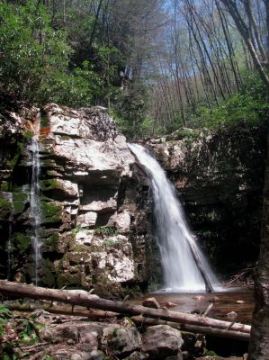 Gentry Falls
Lower part Taken 4-30-3011
