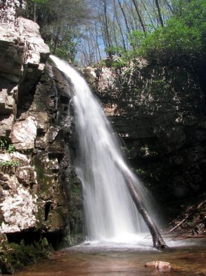 Gentry Falls
Lower part Taken 4-30-3011
