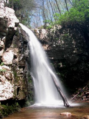 Gentry Falls
Lower part Taken 4-30-3011
