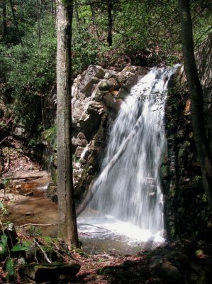 Gentry Falls
Lower part Taken 4-30-3011
