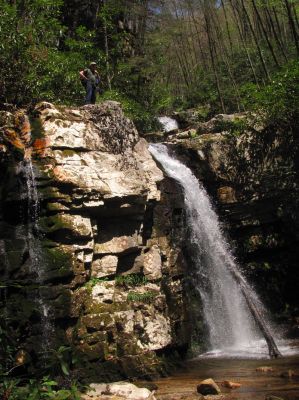 Gentry Falls
Lower part Taken 4-30-3011
