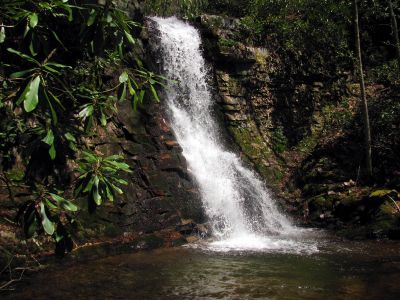 Gentry Falls
Upper part Taken 4-30-3011

