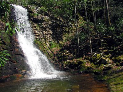 Gentry Falls
Upper part Taken 4-30-3011
